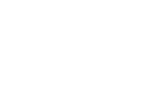 De Zwart Media